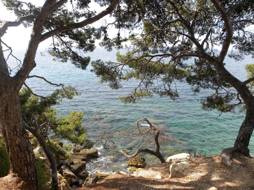 Sun & Sea *